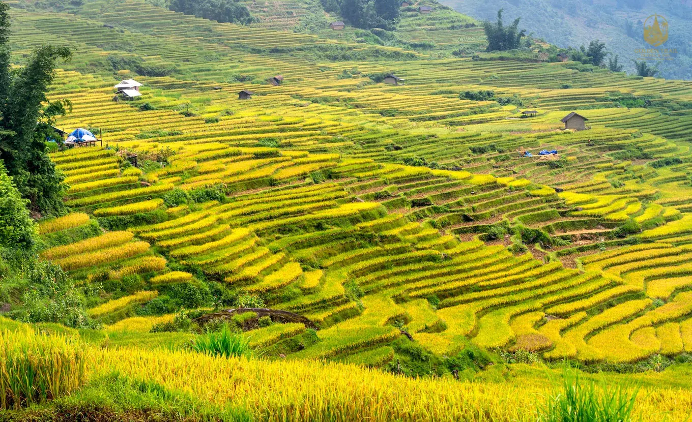 Cao Bang Camping 5 Days: The Ultimate North Vietnam Adventure - A Journey to the Unconquered Heart